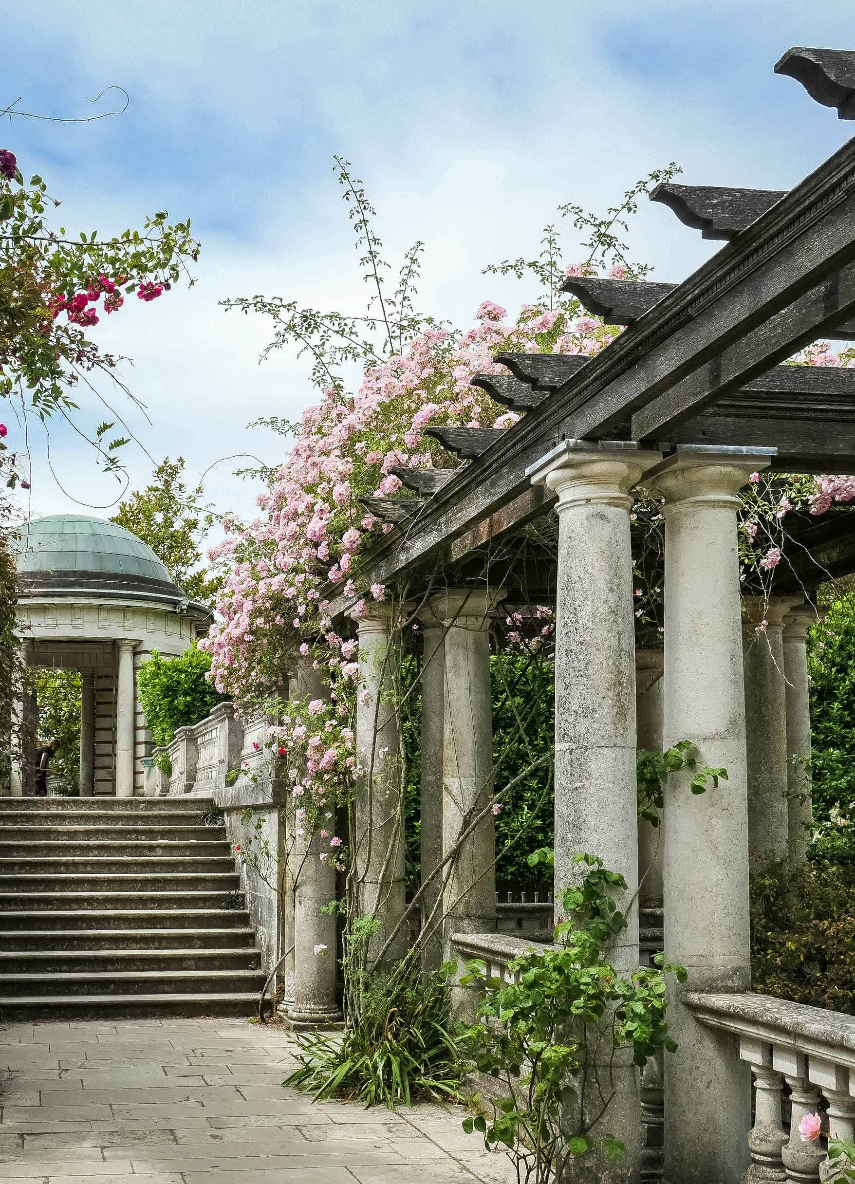 Pergola mit Rosen bewachsen