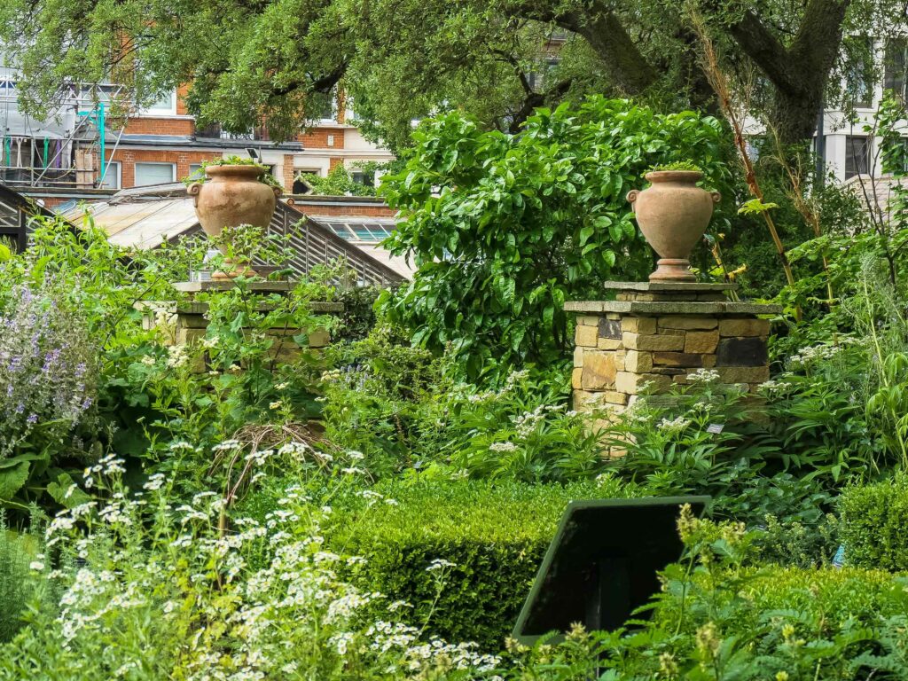 chelsea physic garden