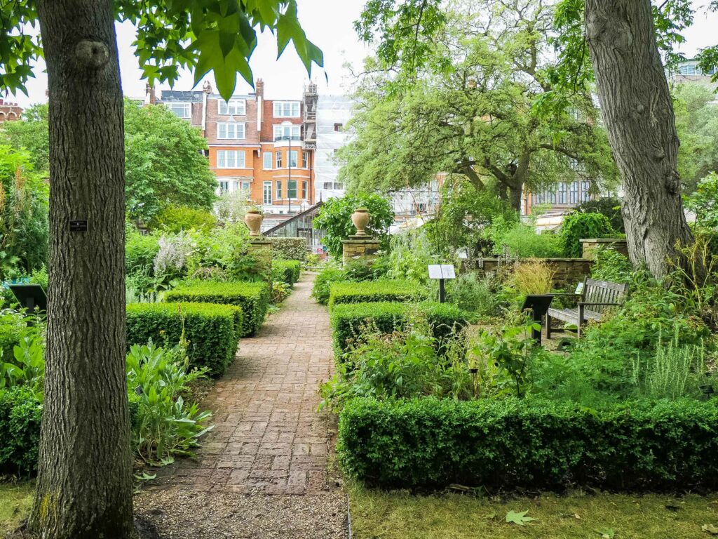 Chelsea Physic Garden