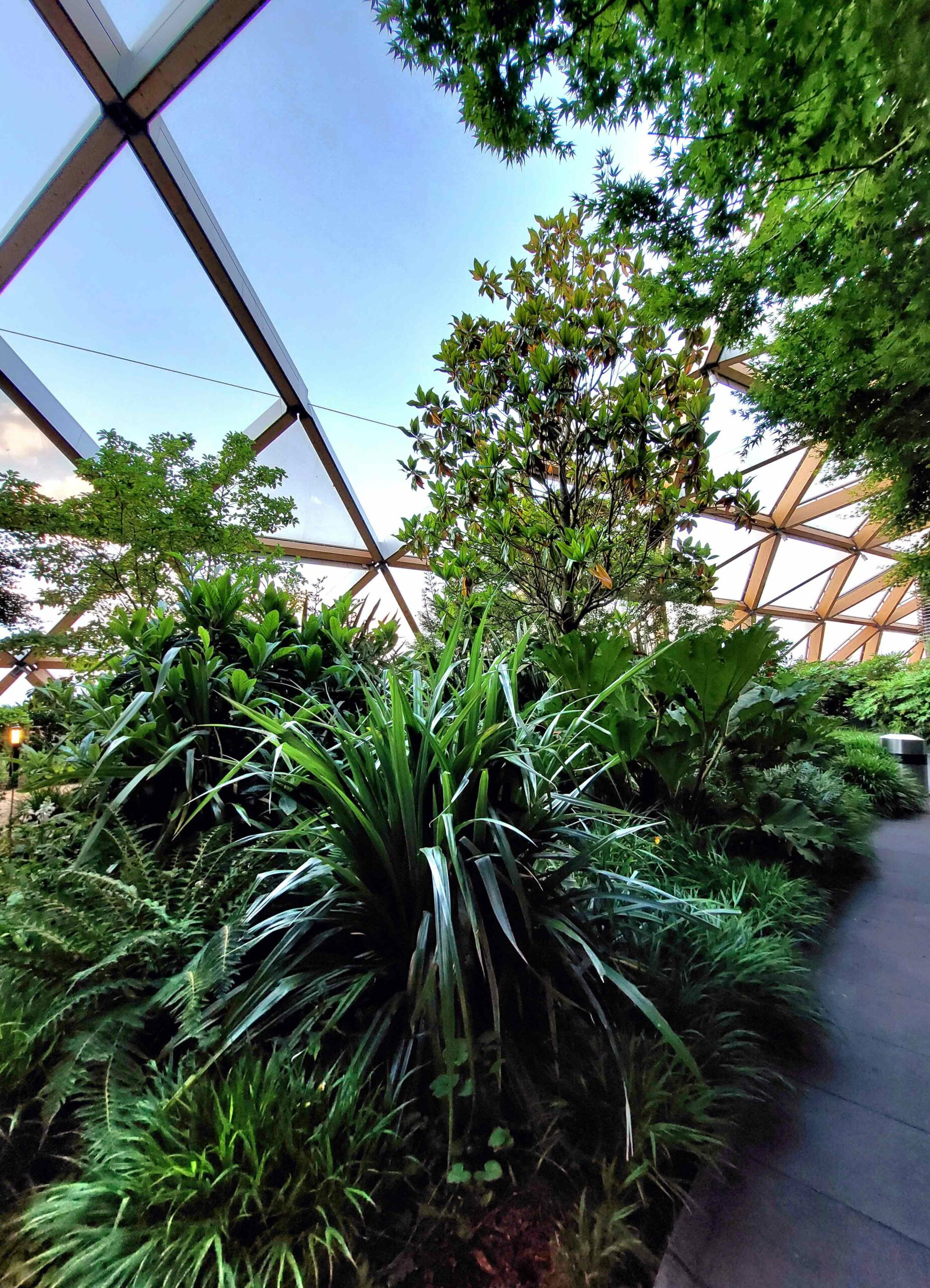 crossrailplace garden