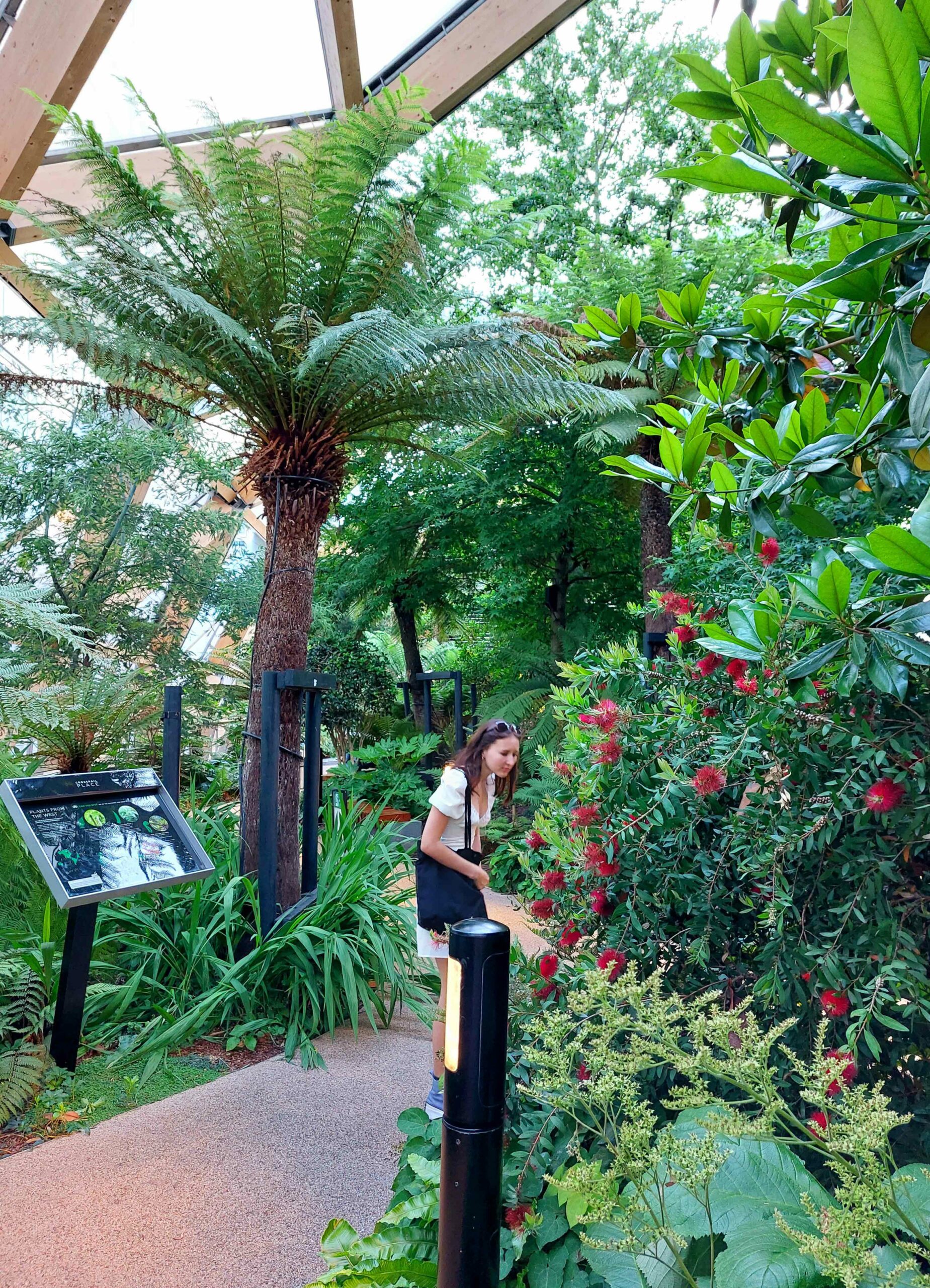 Crossrail Place Garden