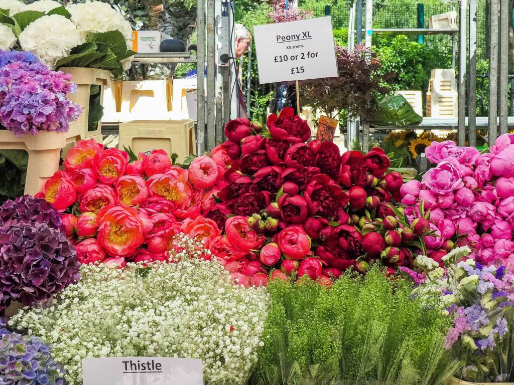 Pfingstrosen auf dem Markt