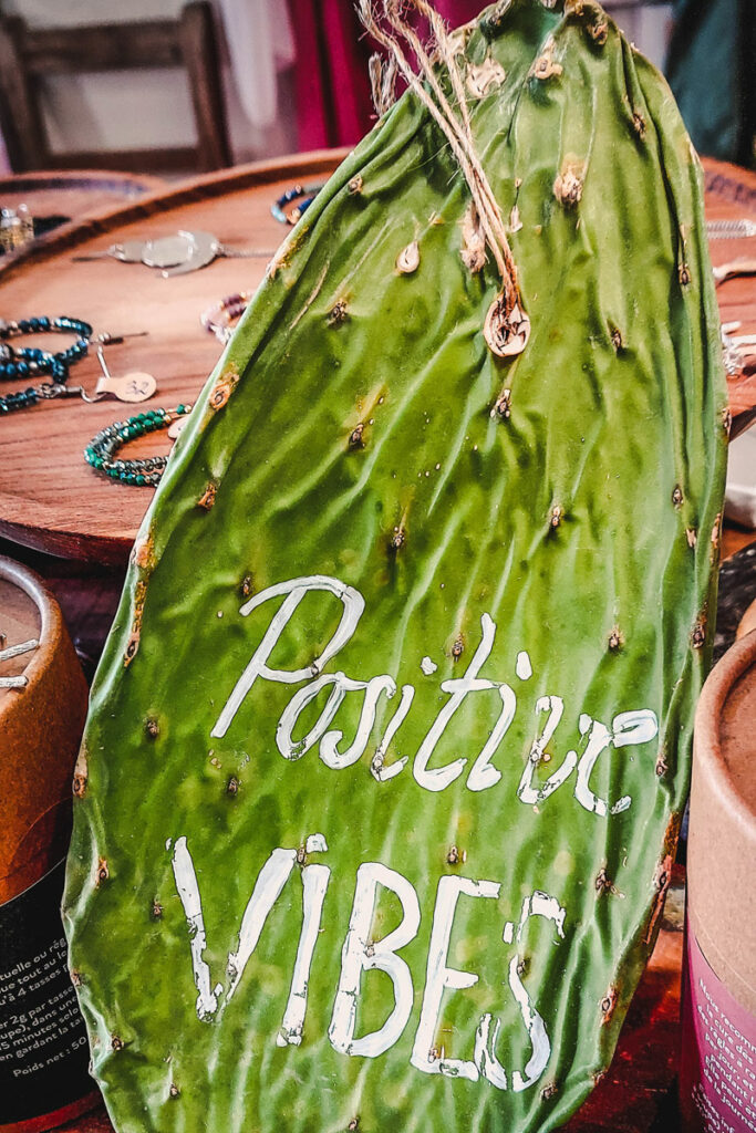 Kakteenblatt als Tafel