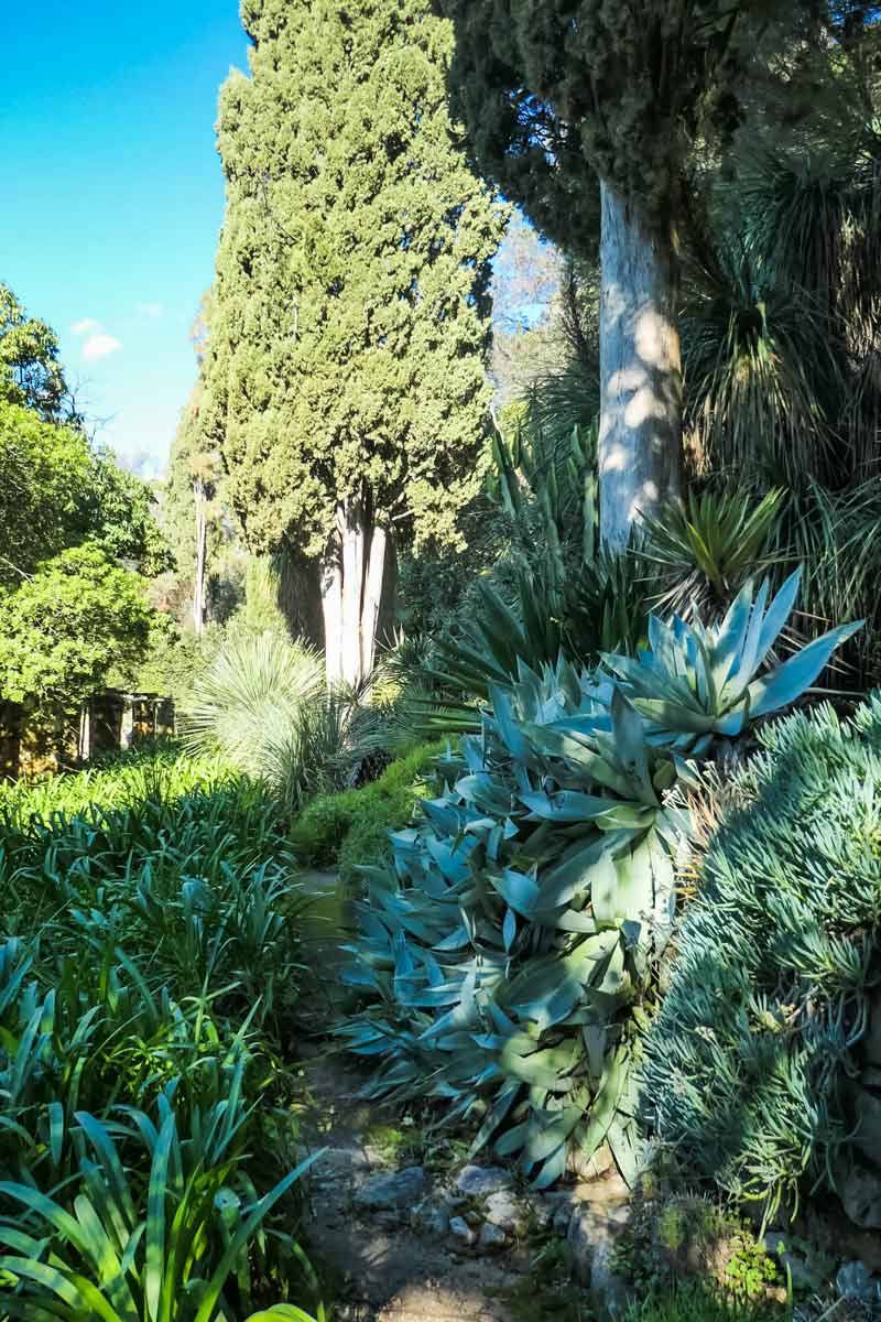 Sukkulenten Serre de la Madone Menton