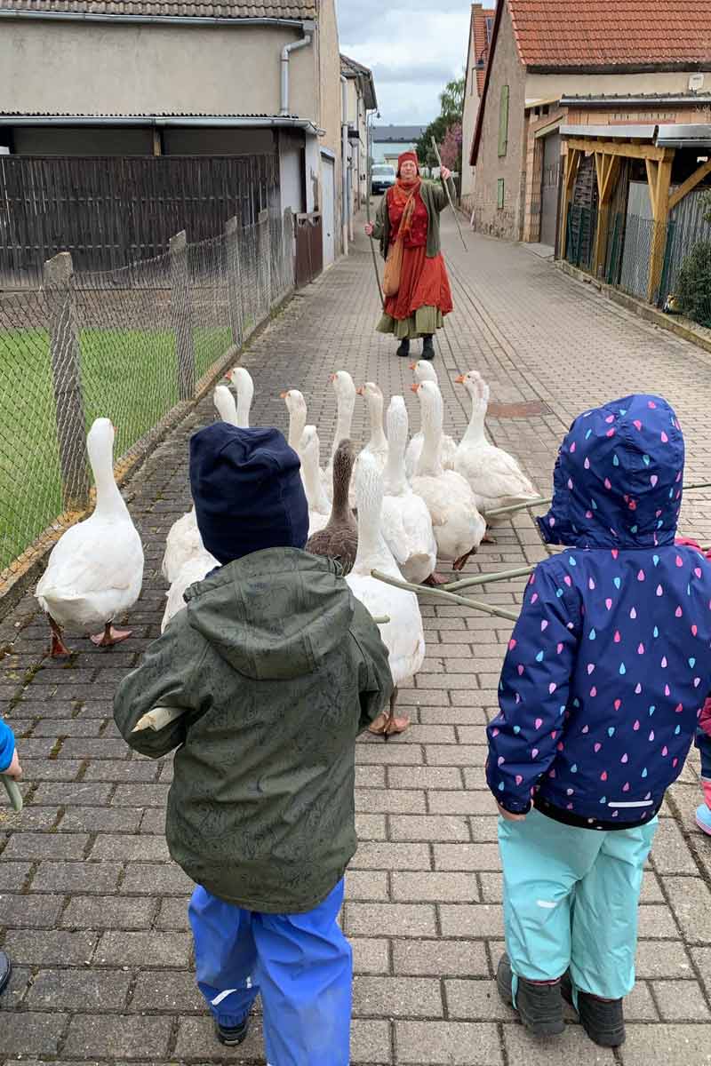 Kinder mit Gänsen