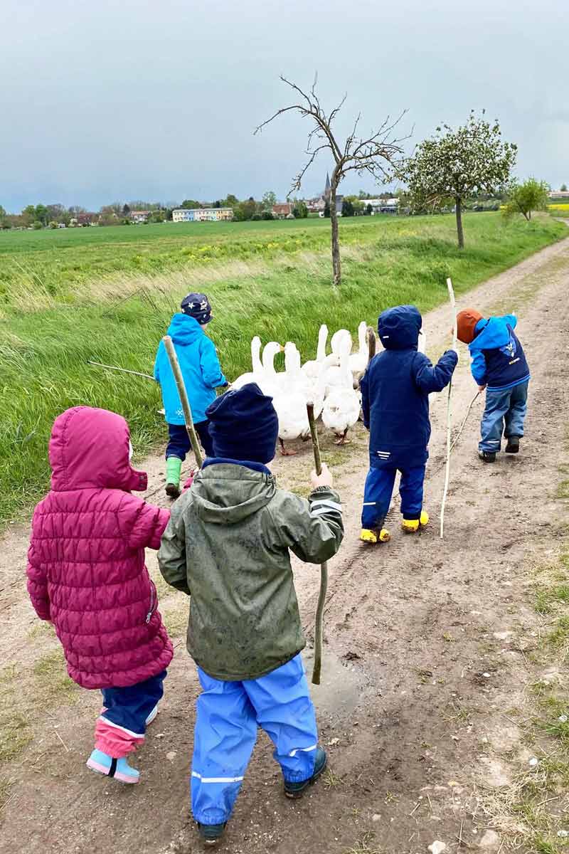 KInder mit Gänsen