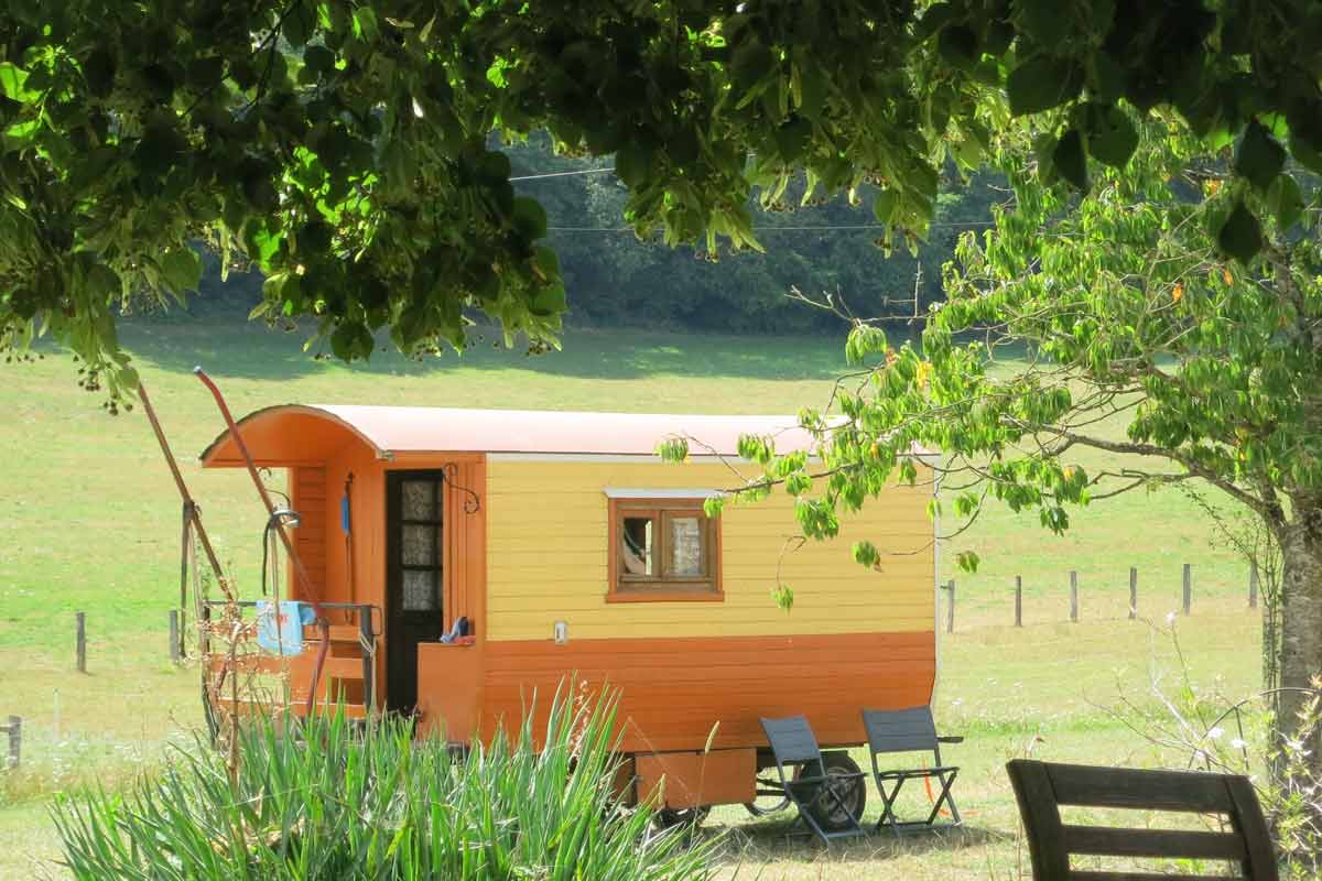 Zirkuswagen auf einer Wiese