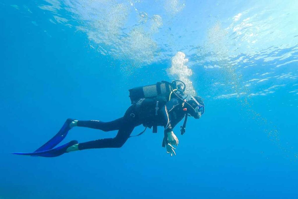 Erlebnisse mit Tieren:Taucherin