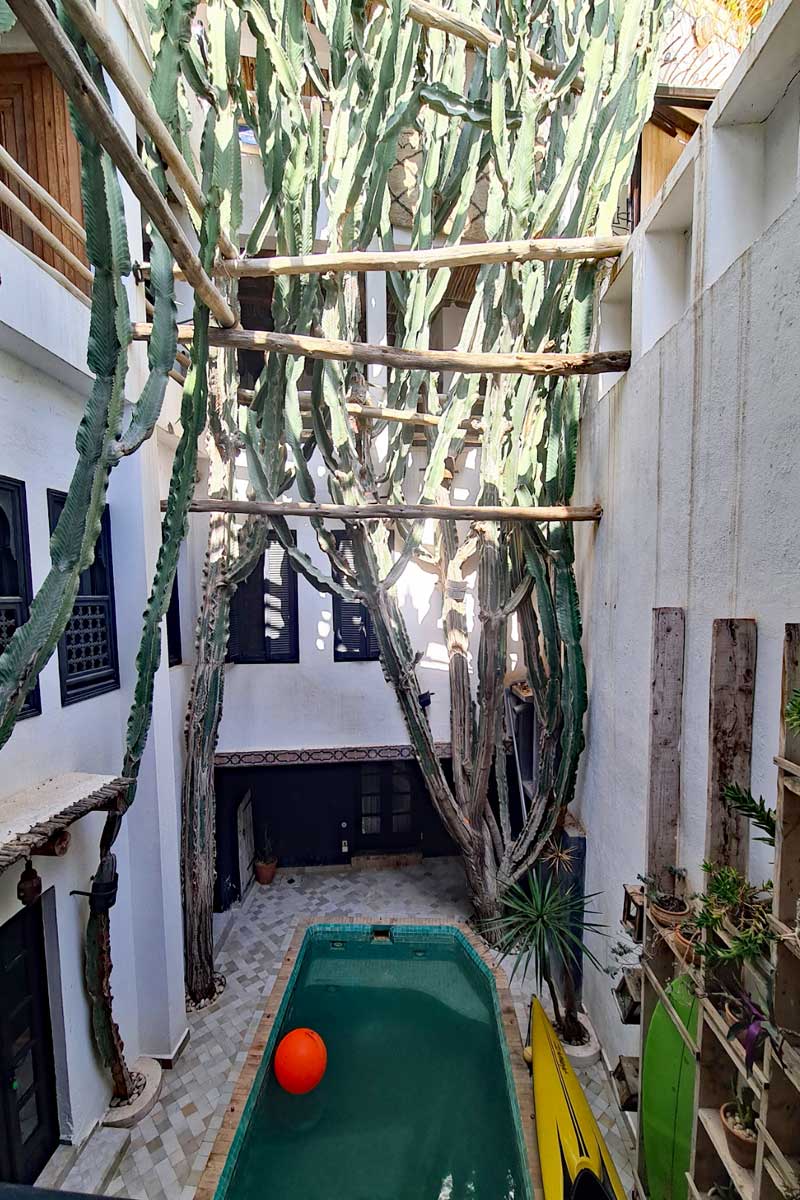 Pool im MUngas Guesthouse