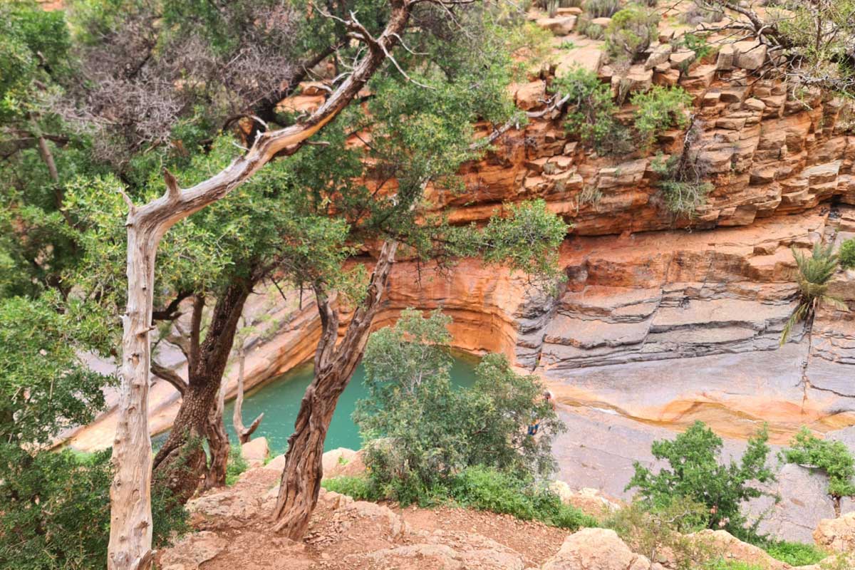 Pool im Paradise Valley