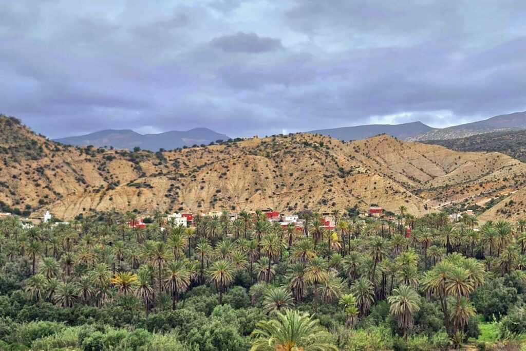 Palmbestandenes Tal im Gebirge