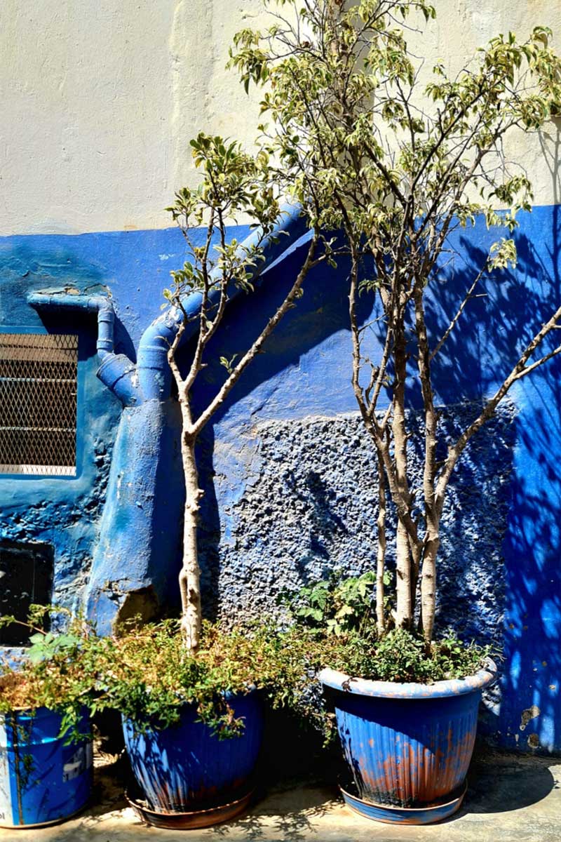 Strasse in Taghazout